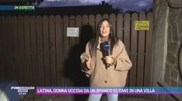 Latina, donna uccisa da un branco di cani in una villa thumbnail