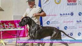 Veterinario morto, morsi e graffi sul suo corpo: è giallo thumbnail