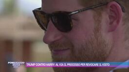 Trump contro Harry: al via il processo per revocare il visto thumbnail