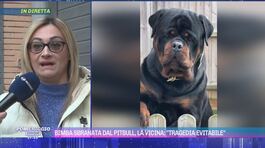 Bimba sbranata dal pitbull, la vicina: "Tragedia evitabile" thumbnail