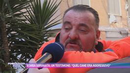 Bimba sbranata dal pitbull, un testimone: "Quel cane era aggressivo" thumbnail