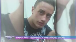 Bimba di 9 mesi sbranata dal pitbull: indagato il padre thumbnail