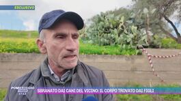 Sbranato dai cani dei vicino: il corpo trovato dai figli thumbnail