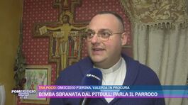 Bimba sbranata dal pitbull: parla il parroco thumbnail