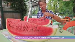 Omicidio Lilly, giallo sul movente: motivi economici? thumbnail