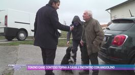 Tonino cane conteso torna a casa, l'incontro con Angiolino thumbnail