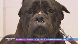 Azzannata dal cane del vicino: "È pericoloso, fermatelo" thumbnail