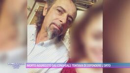 Cetraro, aggredito dai cinghiali: muore un uomo di 64 anni thumbnail