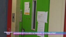 Ascensore rotto da mesi, gli inquilini: "Otto piani a piedi" thumbnail