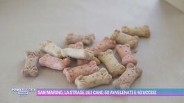 San Marino, la strage dei cani: 50 avvelenati e 40 uccisi thumbnail