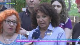 Strage dei cani, Patrizia: " Le mie Maya e Tea uccise in giardino" thumbnail