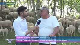 Pastori contro il sindaco: "Vuole multare le nostre pecore" thumbnail