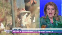 Madonna di Trevignano, parla l'ex portavoce di Gisella thumbnail