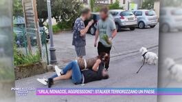 "Urla, minacce, aggressioni": stalker terrorizzano un paese thumbnail