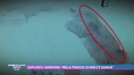 Garlasco, Garofano: "Nella traccia 33 non c'è sangue" thumbnail