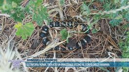 Roma, trovato un bracciale vicino al corpo della mamma thumbnail