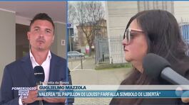 Valeria "Il papillon di Louis? Farfalla simbolo di libertà" thumbnail