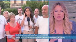 Palazzo ostaggio dei piccioni: "Colpa di un inquilino" thumbnail