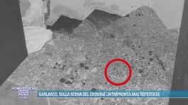Garlasco, attesa per l'incidente probatorio di domani thumbnail
