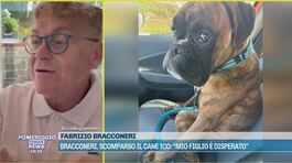 Bracconeri, scomparso il cane Ico: "Mio figlio disperato" thumbnail