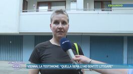 Vienna, la testimone: "Quella sera li ho sentiti litigare" thumbnail
