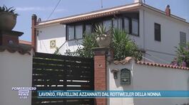 Lavinio, fratellini azzannati dal rottweiler della nonna thumbnail