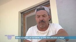 Bimbi azzannati, un testimone: "Il cane non lasciava la presa" thumbnail
