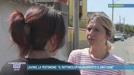 Lavinio, la testimone: "Il rottweiler ha aggredito il mio cane" thumbnail