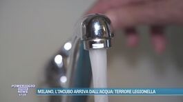 Milano, l'incubo arriva dall'acqua: terrore legionella thumbnail