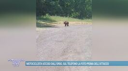 Motociclista ucciso dall'orso, sul telefono la foto prima dell'attacco thumbnail