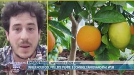 Influencer col pollice verde: i consigli arrivano dal web thumbnail