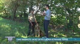 Droni e cani molecolari: ecco il lavoro del pet detective thumbnail