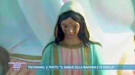 Trevignano, il perito: "Il sangue sulla Madonna è di Gisella" thumbnail