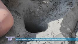 Studio americano: "Più morti per la sabbia che per gli squali" thumbnail