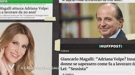 Il caso "Volpe - Magalli" thumbnail