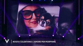 Rosita Celentano: l'amore per Morphine thumbnail