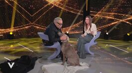 Guillermo Mariotto: "La mia amata cagnolina" thumbnail