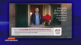 Le stelle di natale dell'AIL a sostegno della ricerca thumbnail