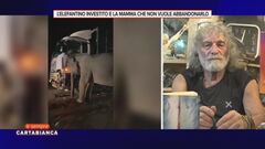 L'elefantino investito e la mamma che non vuole abbandonarlo