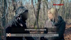 I boschi della paura in mano alle bande di immigrati