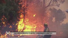 Los Angeles brucia: l'alibi del cambiamento climatico