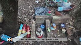 Nelle mani dei violenti: i boschi della paura thumbnail