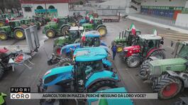 Agricoltori in piazza: perchè nessuno dà loro voce? thumbnail