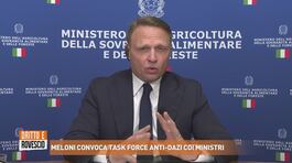 Intervista al Ministro Francesco Lollobrigida thumbnail