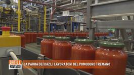 La paura dei dazi, i lavoratori del pomodoro tremano thumbnail