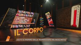 Lilly: il mistero della temperatura nel bosco thumbnail