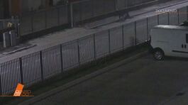 Omicidio Giulia Cecchettin: il corpo gettato nel bosco e la premeditazione di Turetta thumbnail