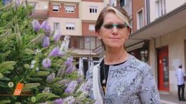 Omicidio di Liliana Resinovich: nuove ipotesi e dubbi thumbnail