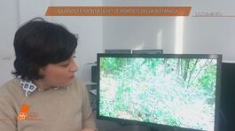Liliana Resinovic: quando è morta? thumbnail