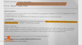 Il giallo della piccola Giulia Loffredo: sbranata dal pitbull? thumbnail